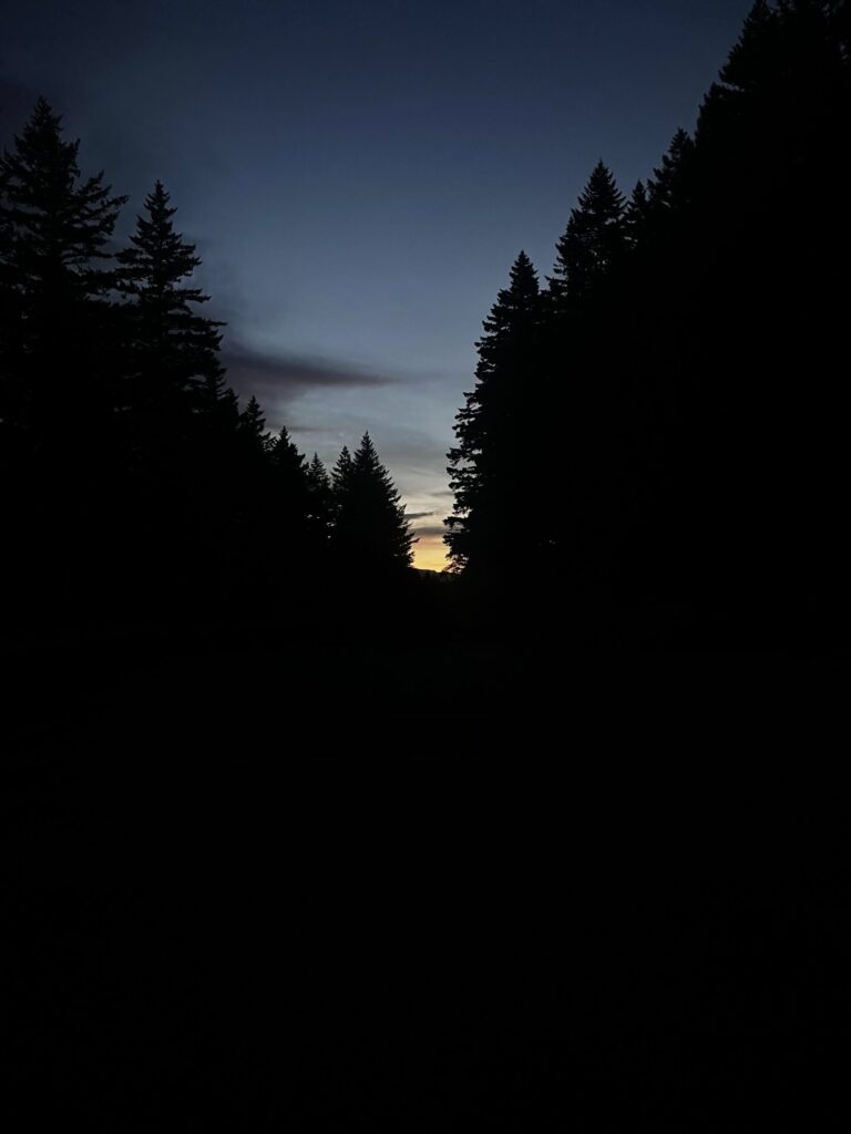 The sunrise peeking between trees at 4:43 am at the Angel's Rest trailhead parking lot. 