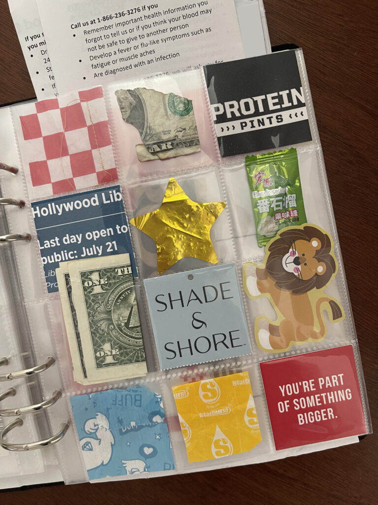 A 6-inch by 8-inch page protector divided into 12 two-inch by two-inch pockets. Each pocket hold a piece of ephemera from my life in July 2025, as enumerated in the bulleted list in the body of the post.