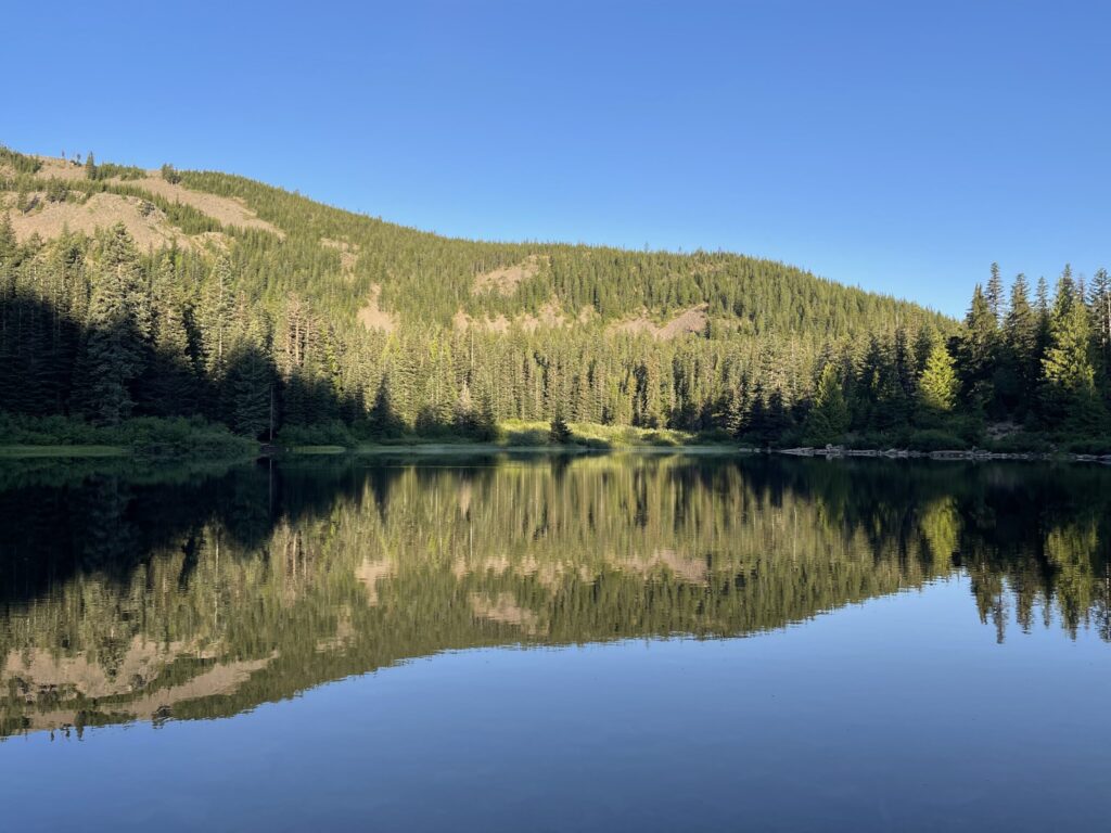 Mirror Lake reflecting the tree line and clear blue early morning sky. 