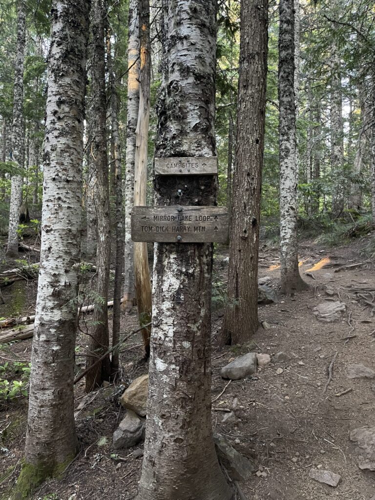 Wooden signs posted to a tree directing hikers and backpackers which way to travel for various trails. 