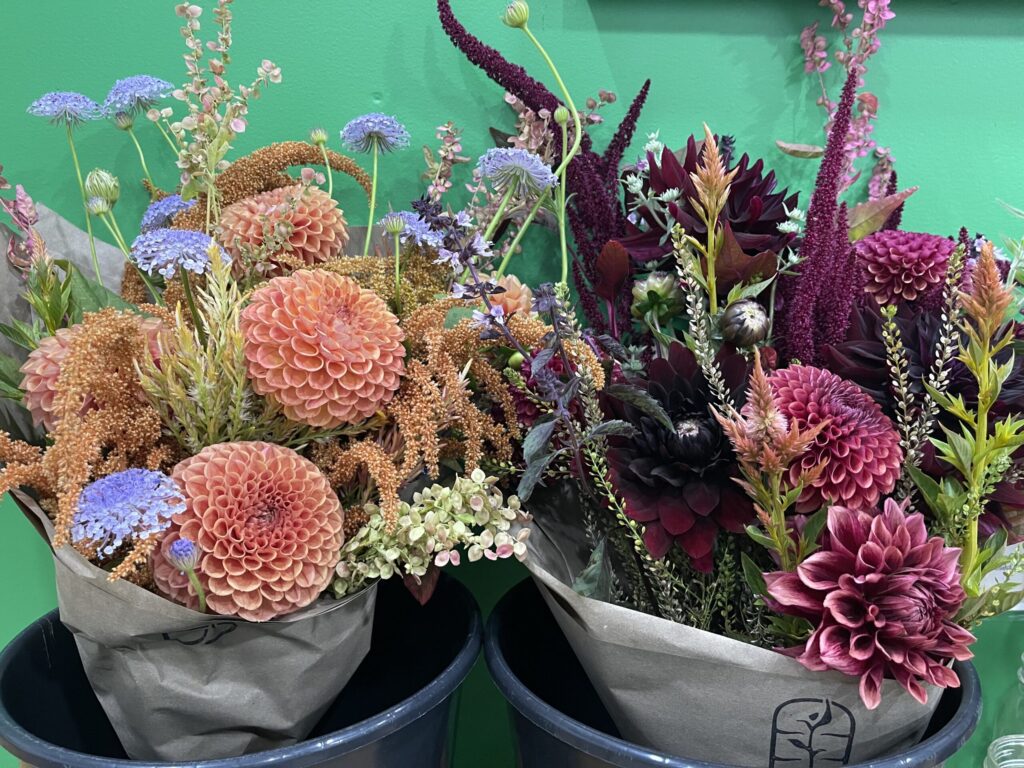 Two beautiful bouquets of dahlias in fall colors.