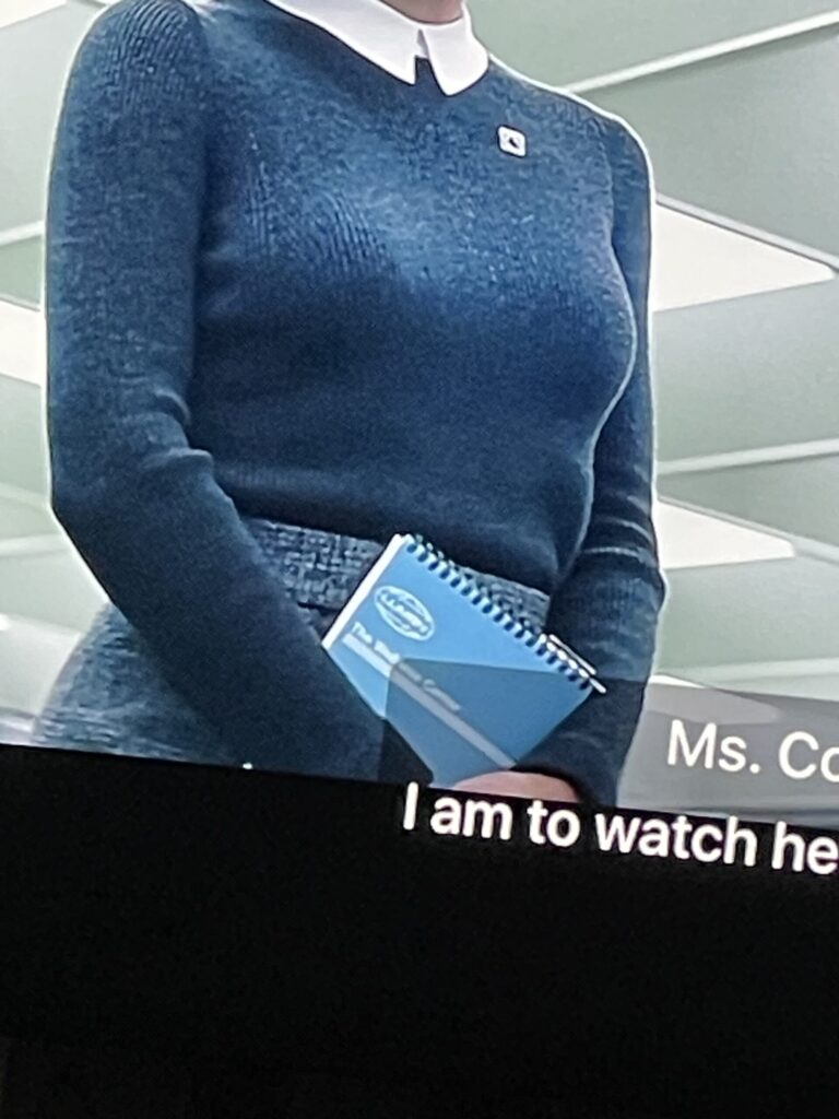 Low-res, zoomed-in photo of my TV screen showing a scene in which Ms. Casey is holding a blue Lumon-branded steno notebook with color-matched Wire-O binding. 