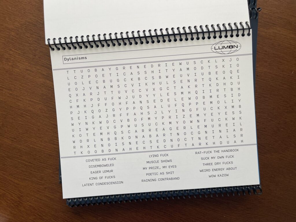 One of the word search puzzles, themed "Dylanisms."