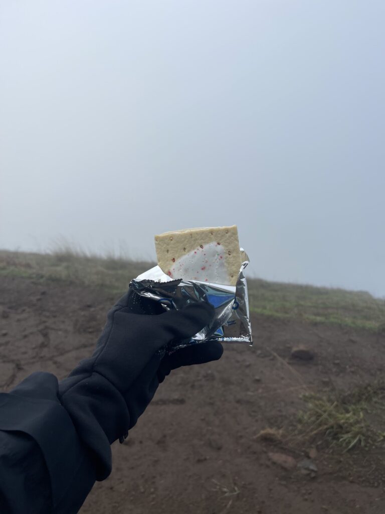 My disembodied hand holding an open pack of frosted strawberry Pop-Tarts against the fog at the summit of Dog Mountain. 