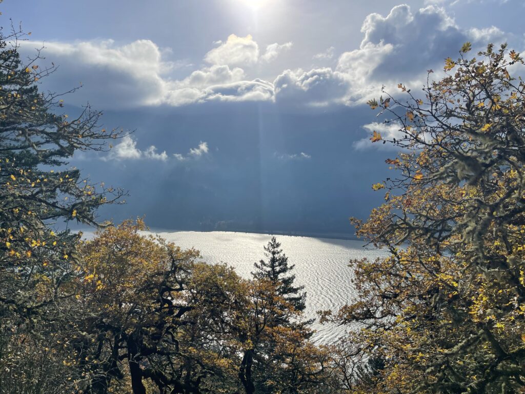 Late-morning view of the Columbia River through trees near the beginning of Dog Mountain Trail. The sun is shining above low-lying clouds.