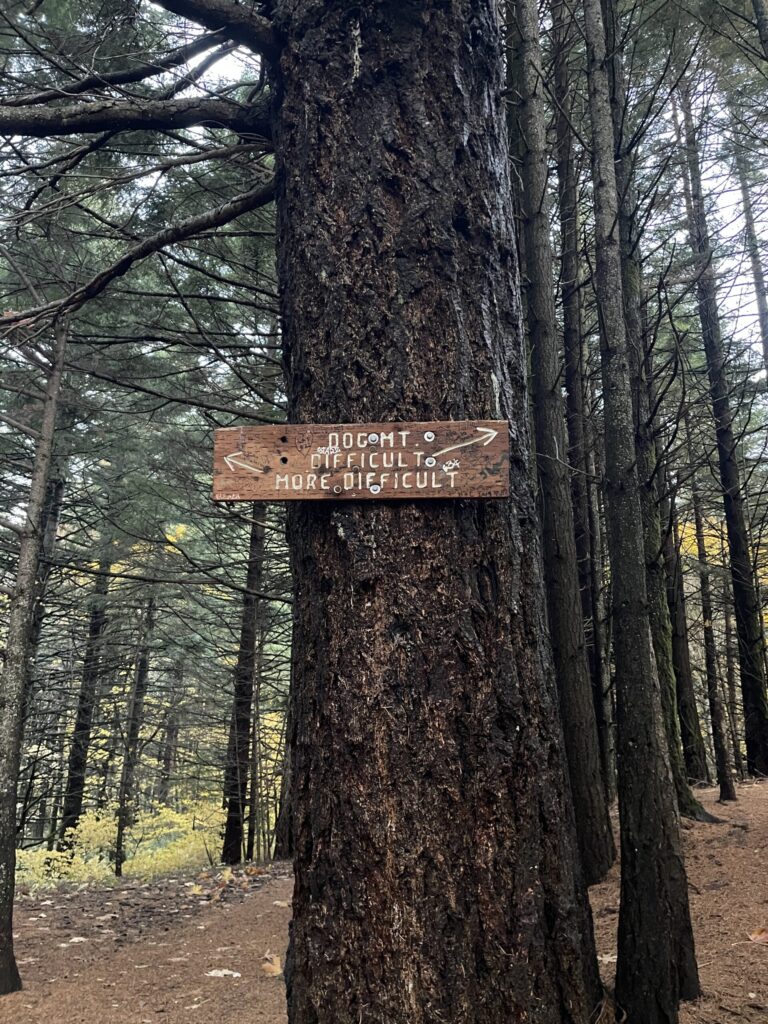 A sign nailed to a tree directing hikers to one of two routes: "difficult" and "more difficult."