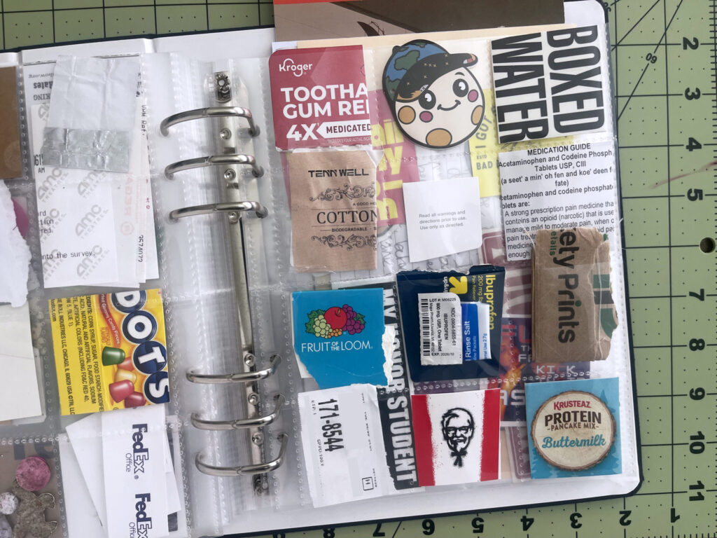A 6-inch by 8-inch page protector divided into 12 two-inch by two-inch pockets. Each pocket hold a piece of ephemera from my life in June 2026, as enumerated in the bulleted lists in the body of the post.