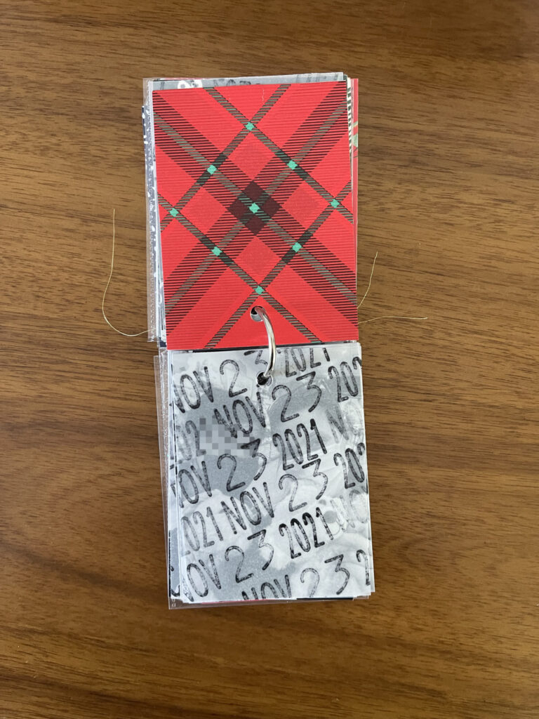 2021. The top page is a piece of patterned paper. The bottom page is a piece of vellum stamped repeatedly with the date. Beneath the vellum is a black-and-white photo from that year's visit. 