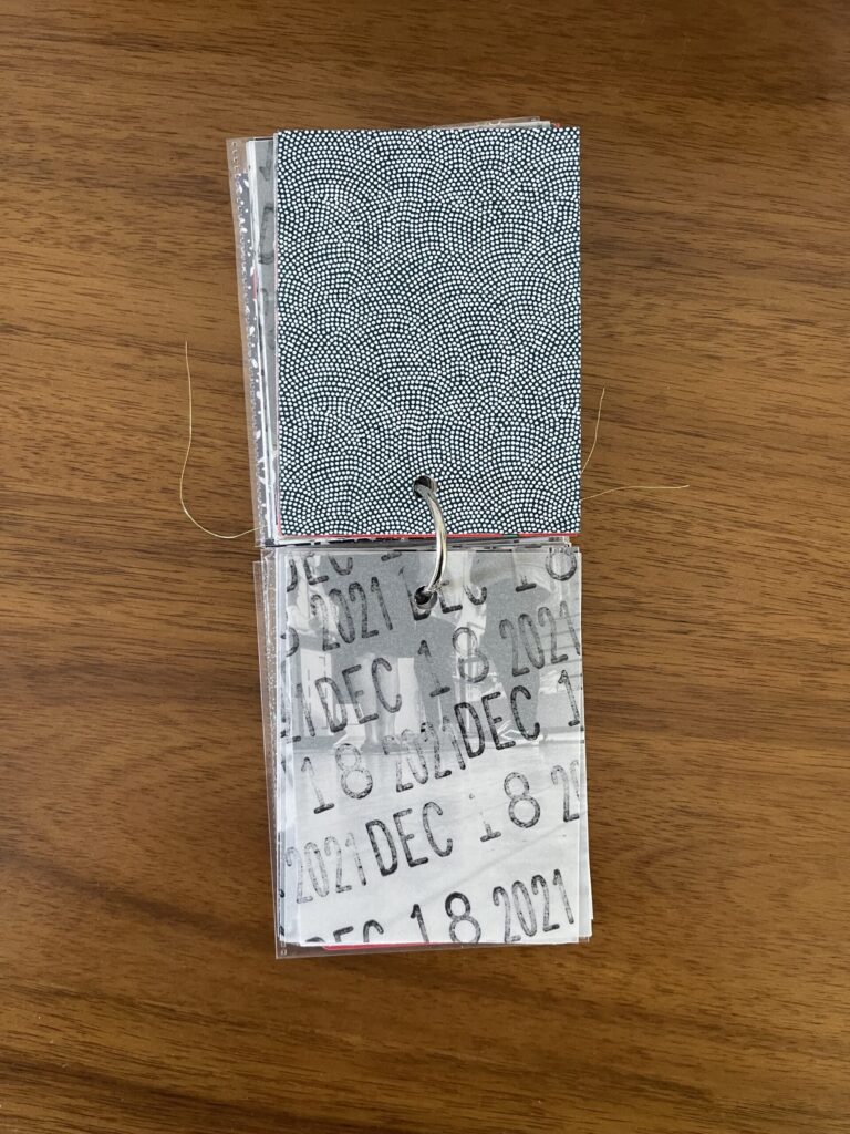 2021. The top page is a piece of patterned paper. The bottom page is a piece of vellum stamped repeatedly with the date. Beneath the vellum is a black-and-white photo from that year's visit. 
