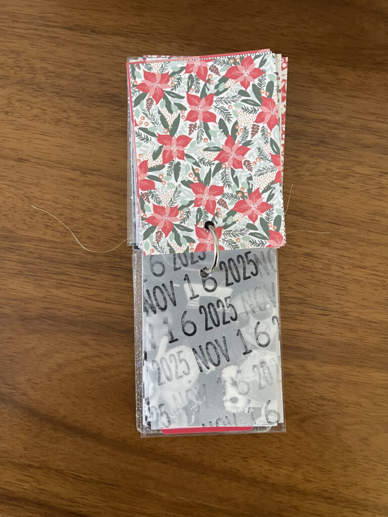 2025. The top page is a piece of patterned paper. The bottom page is a piece of vellum stamped repeatedly with the date. Beneath the vellum is a black-and-white photo from that year's visit. 